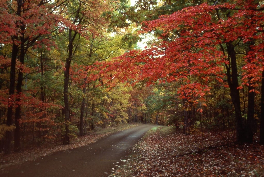 Photo Album: Autumn in our National Parks ready for your Windows Desktop